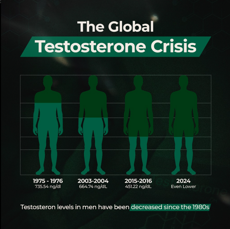 Testosterone levels in men have been declining for decades, and the trend isn’t slowing down. Lower energy, reduced strength, and fading vitality—this isn’t just aging, it’s a modern epidemic.

It’s time to take action. Are you ready to reclaim your prime? 💪🔥
38w